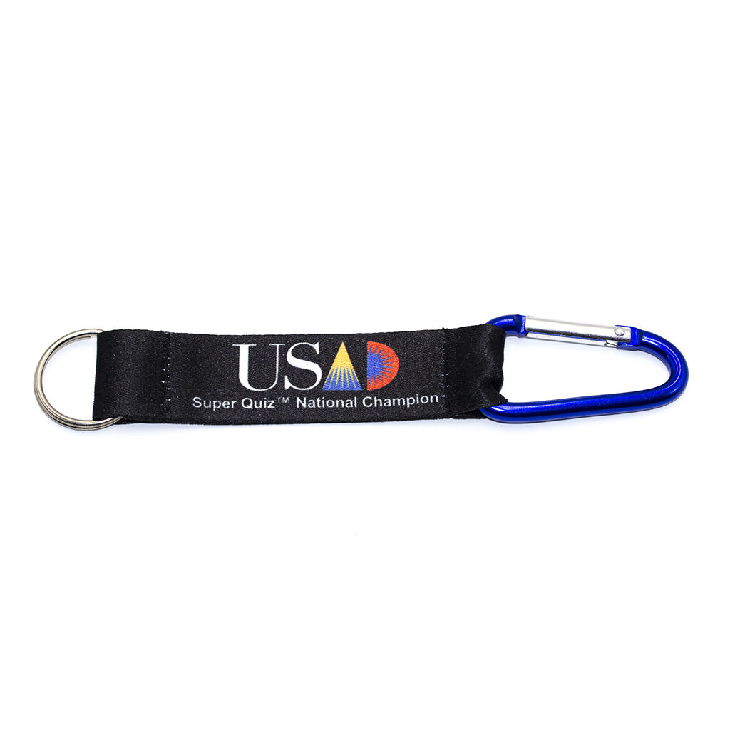 Carabiner keychain