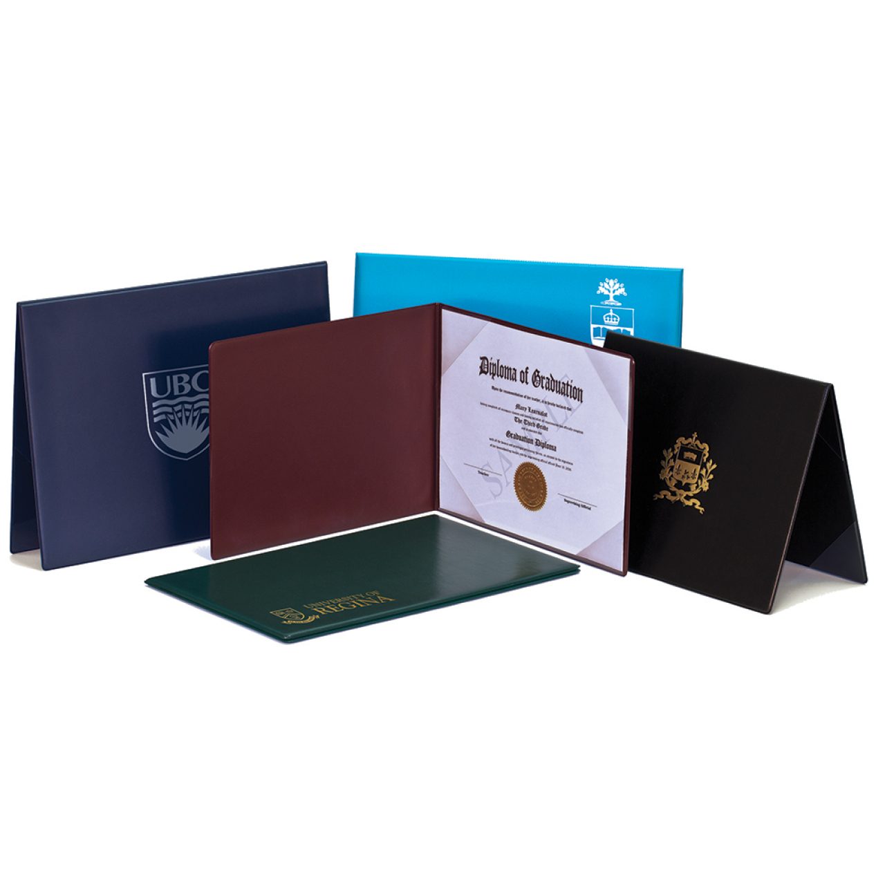 Diploma Holders